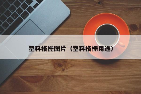 塑料格栅图片（塑料格栅用途）