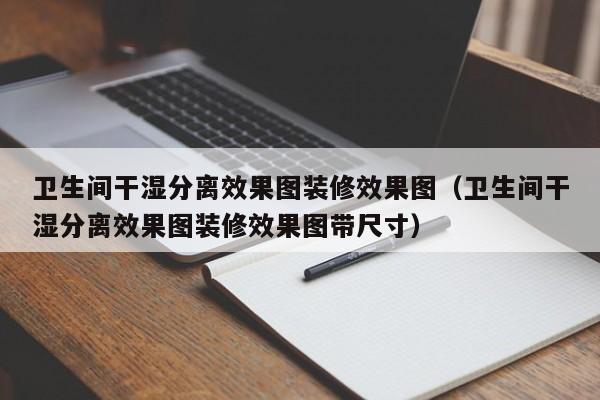 卫生间干湿分离效果图装修效果图（卫生间干湿分离效果图装修效果图带尺寸）