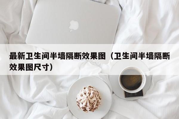 最新卫生间半墙隔断效果图（卫生间半墙隔断效果图尺寸）