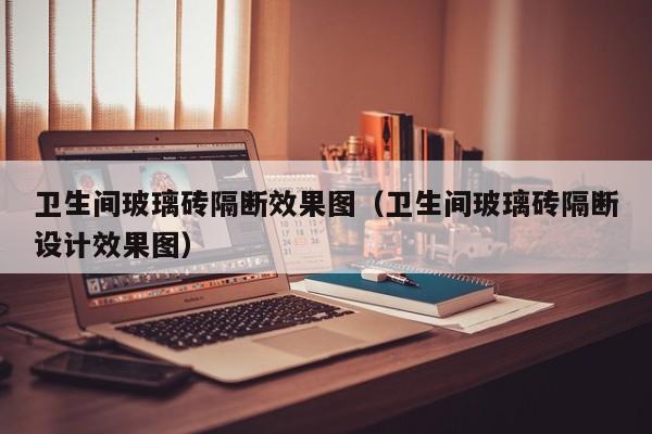 卫生间玻璃砖隔断效果图（卫生间玻璃砖隔断设计效果图）