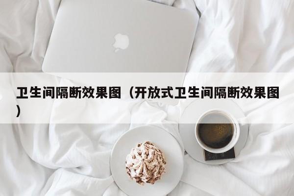 卫生间隔断效果图（开放式卫生间隔断效果图）