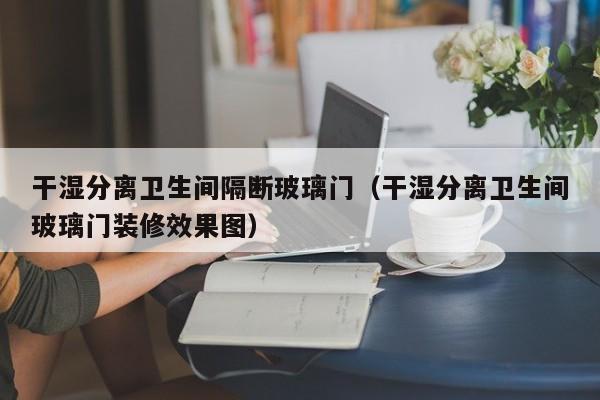 干湿分离卫生间隔断玻璃门（干湿分离卫生间玻璃门装修效果图）