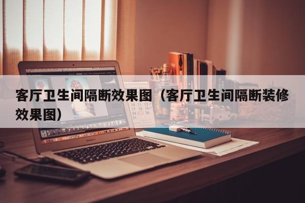 客厅卫生间隔断效果图（客厅卫生间隔断装修效果图）