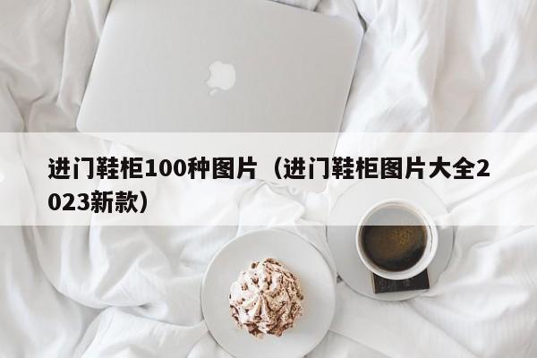 进门鞋柜100种图片（进门鞋柜图片大全2023新款）