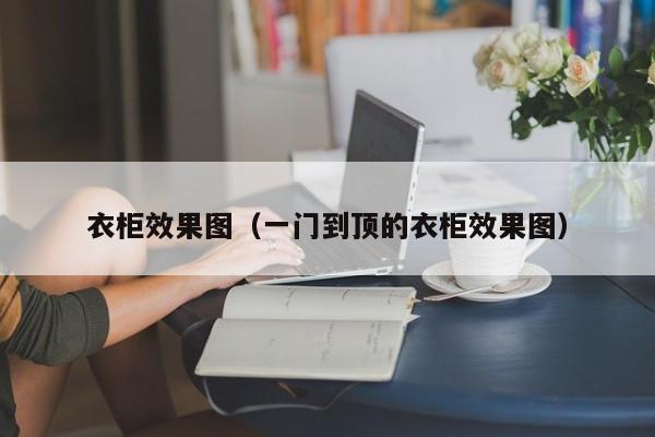 衣柜效果图（一门到顶的衣柜效果图）