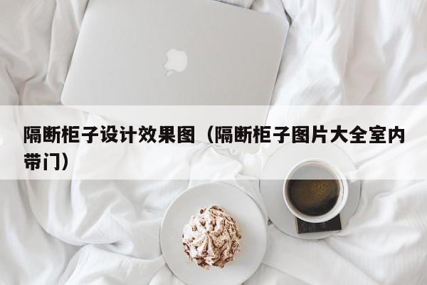 隔断柜子设计效果图（隔断柜子图片大全室内带门）