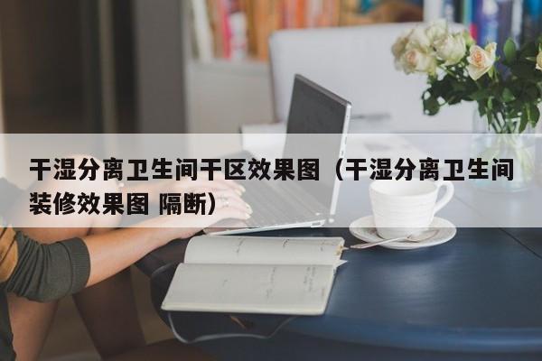 干湿分离卫生间干区效果图（干湿分离卫生间装修效果图 隔断）