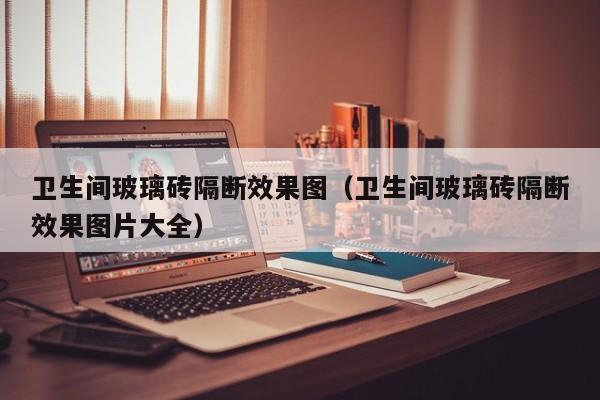 卫生间玻璃砖隔断效果图（卫生间玻璃砖隔断效果图片大全）