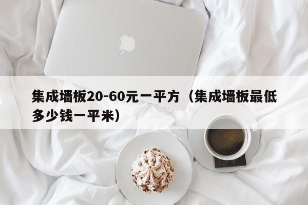 集成墙板20-60元一平方（集成墙板最低多少钱一平米）