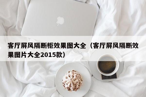 客厅屏风隔断柜效果图大全（客厅屏风隔断效果图片大全2015款）