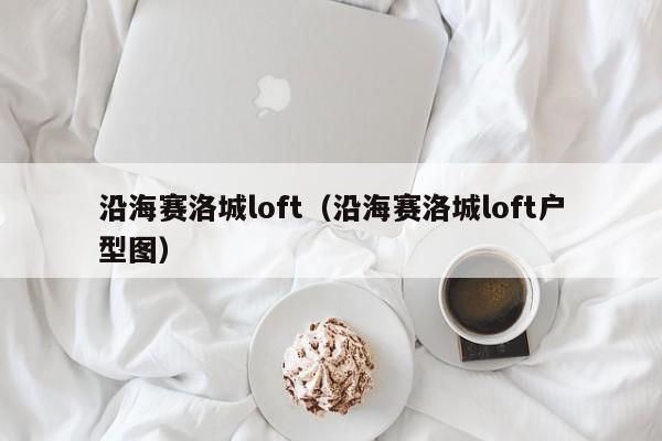 沿海赛洛城loft（沿海赛洛城loft户型图）