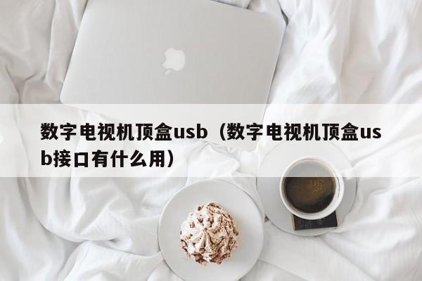 数字电视机顶盒usb（数字电视机顶盒usb接口有什么用）