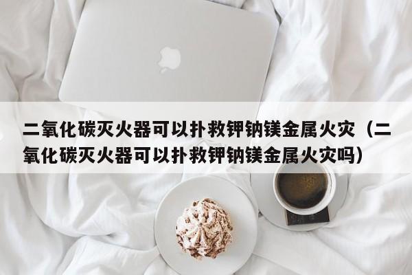 二氧化碳灭火器可以扑救钾钠镁金属火灾（二氧化碳灭火器可以扑救钾钠镁金属火灾吗）