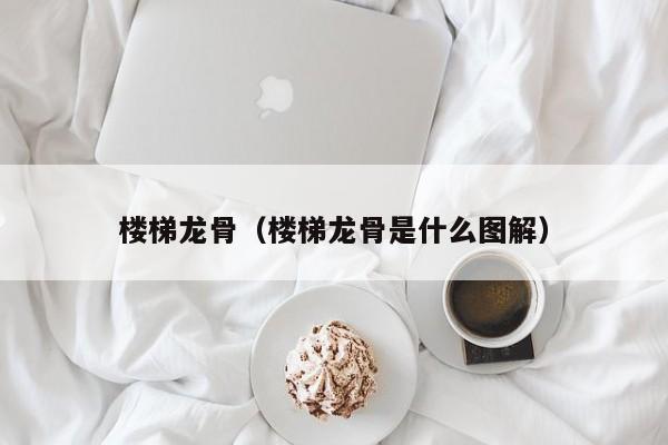 楼梯龙骨（楼梯龙骨是什么图解）