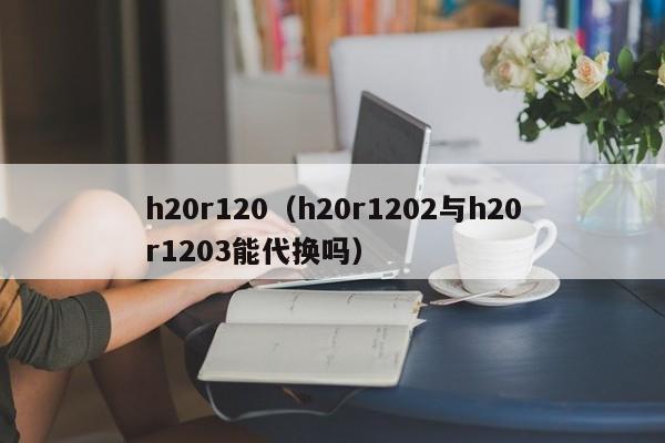 h20r120（h20r1202与h20r1203能代换吗）