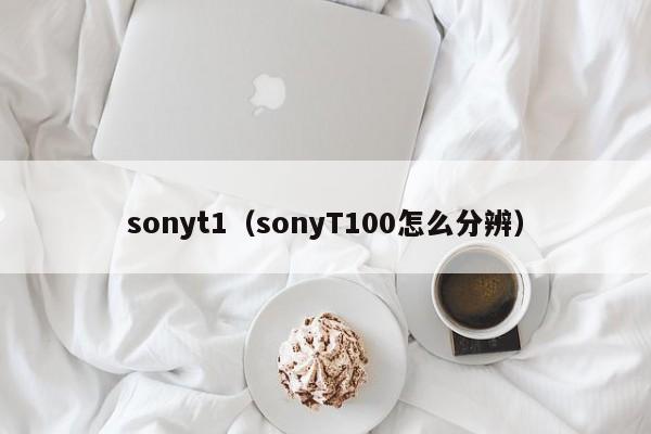sonyt1（sonyT100怎么分辨）