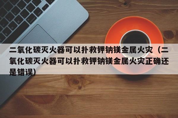 二氧化碳灭火器可以扑救钾钠镁金属火灾（二氧化碳灭火器可以扑救钾钠镁金属火灾正确还是错误）