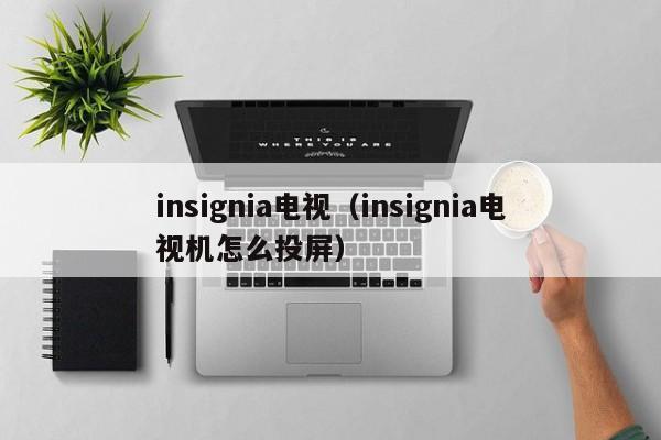 insignia电视（insignia电视机怎么投屏）