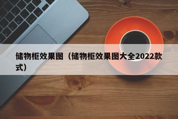 储物柜效果图（储物柜效果图大全2022款式）